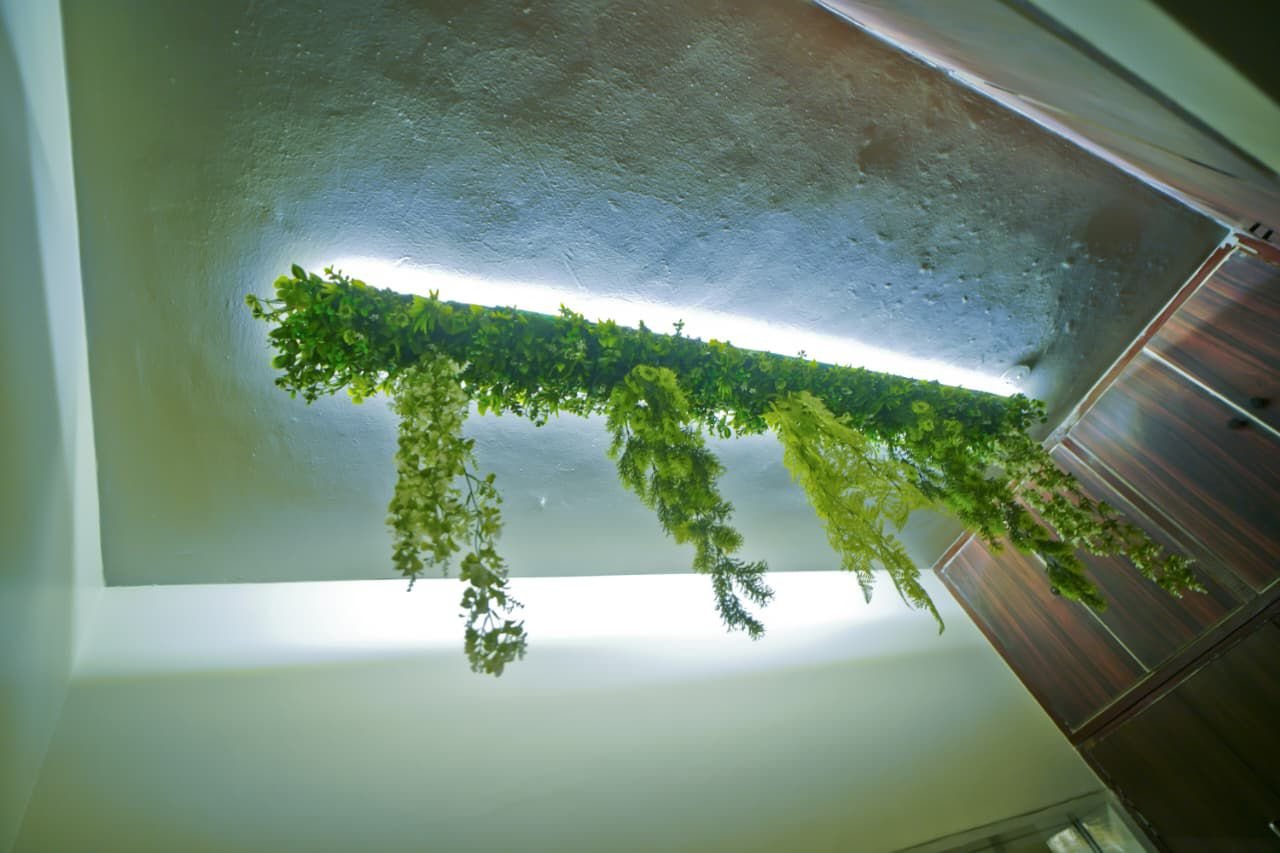 WhatsApp Image 2026-02-08 at 16.34.12 (2)